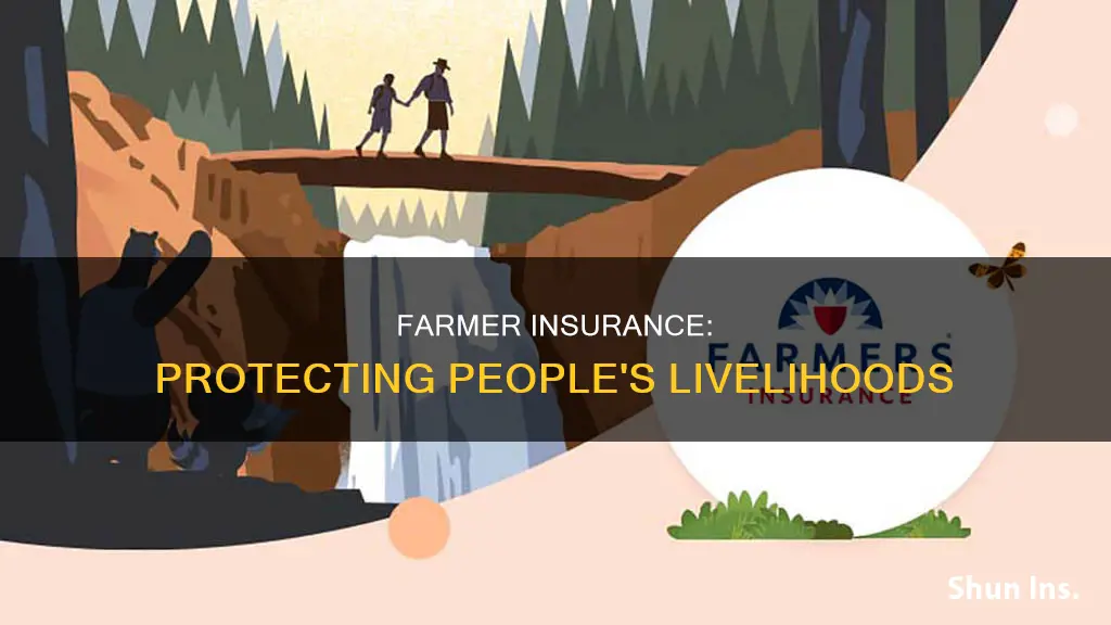 how is farmer insurance helpful for people