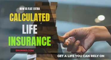 Extra Flat Rate Calculation: Life Insurance Explained