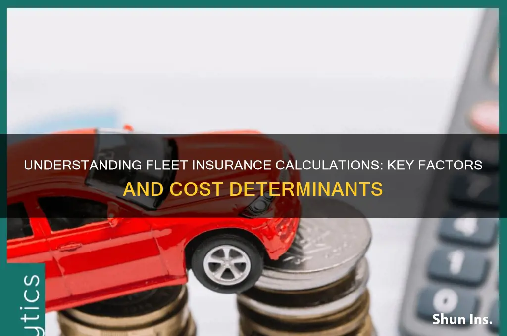 how is fleet insurance calculated