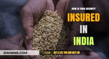 Ensuring Food Security in India: Strategies, Challenges, and Solutions