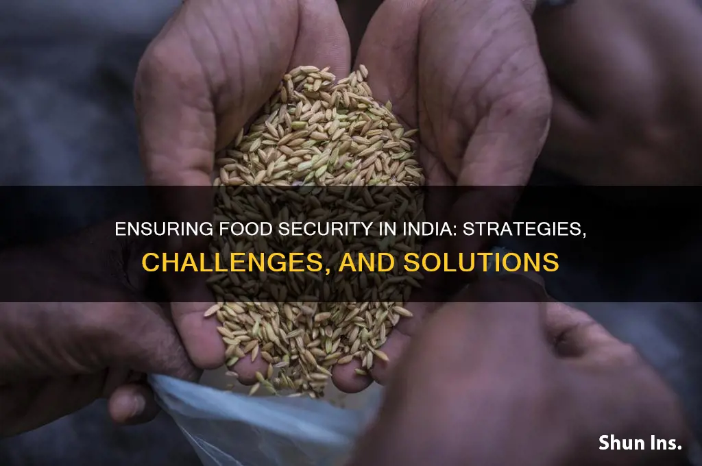 how is food security insured in india