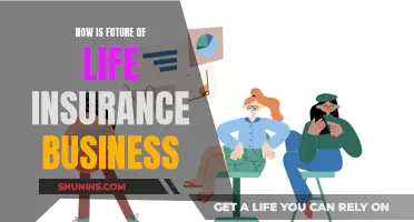 Life Insurance: The Future of Protection and Security