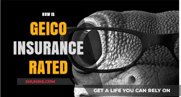 Is GEICO Insurance Right for You?