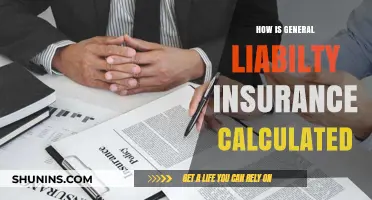 Understanding General Liability Insurance: Calculation Factors and Cost Determinants