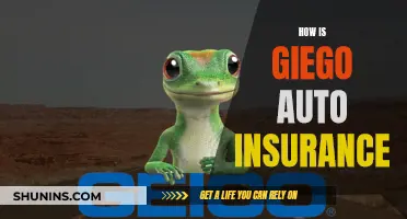 Giego Auto Insurance: Unraveling the Unique Coverage and Benefits