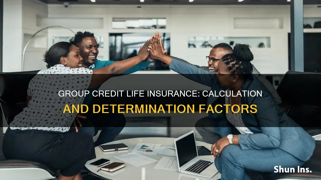 how is group credit life insurance determined