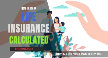 Group Life Insurance Calculation: Understanding the Premium Formula