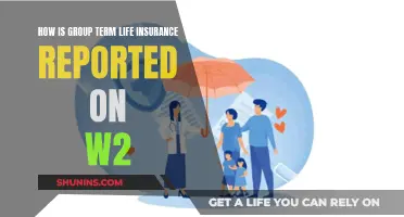 Understanding Group Term Life Insurance on Your W2