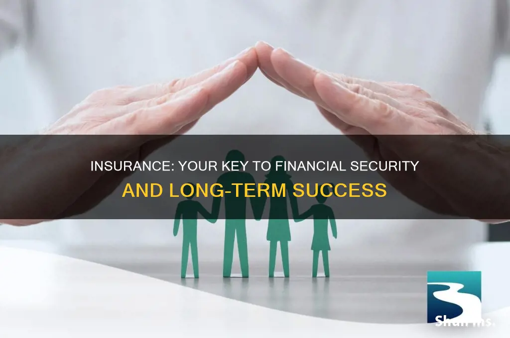how is having insurance important for successful financial management