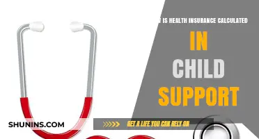 Understanding Health Insurance Costs in Child Support Calculations