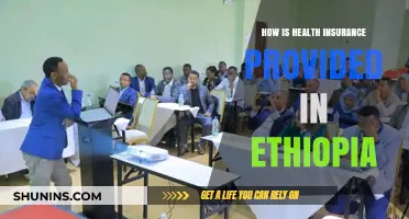 Understanding Ethiopia's Health Insurance System: Coverage, Providers, and Accessibility