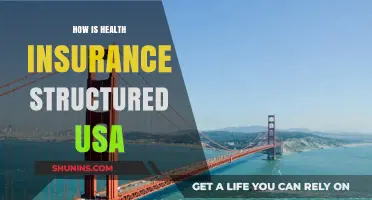 Understanding the Complex Structure of Health Insurance in the USA