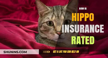 Hippo Insurance: Is It Worth the Hype?