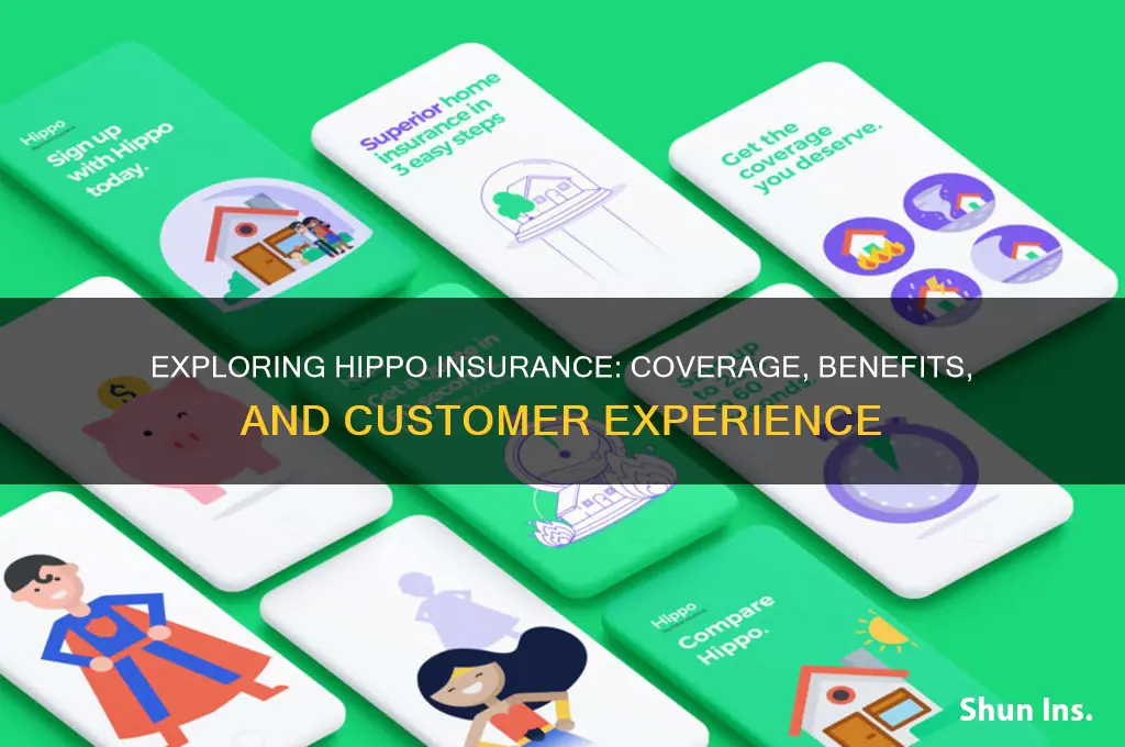 how is hippo insurance