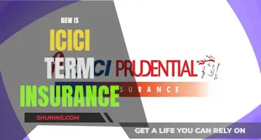 ICICI Term Insurance: Unraveling the Benefits and Features