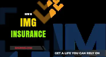 Understanding IMG Insurance: Benefits, Coverage, and How It Works
