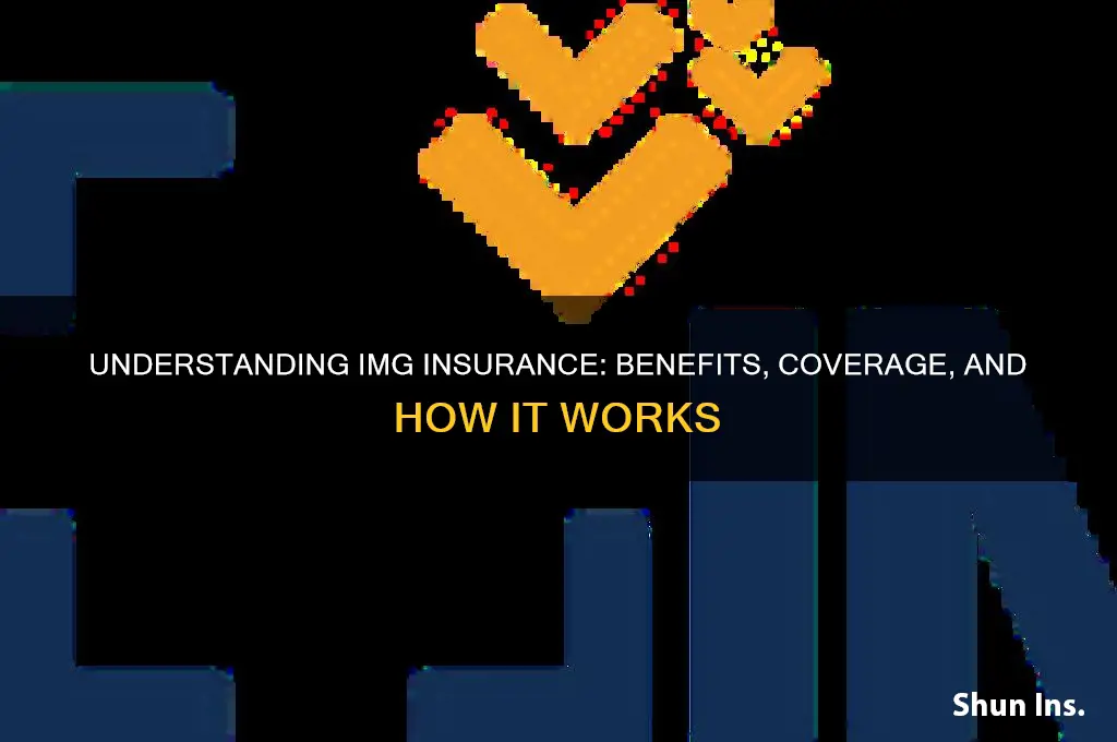how is img insurance