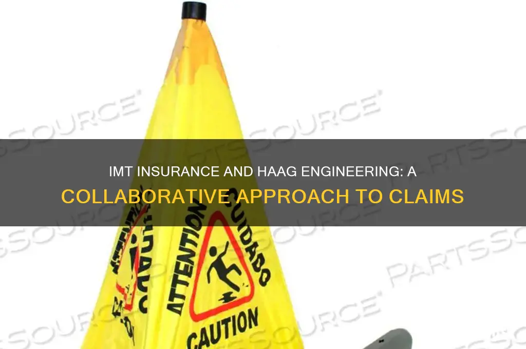 how is imt insurance and haag engineering associated
