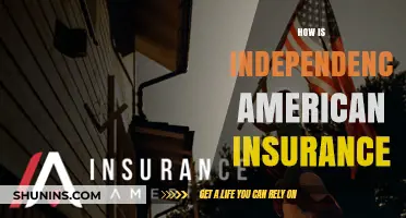Understanding American Independence Insurance: Coverage, Benefits, and Key Features
