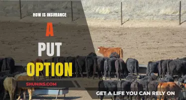 Understanding Insurance as a Put Option: Risk Hedging Explained