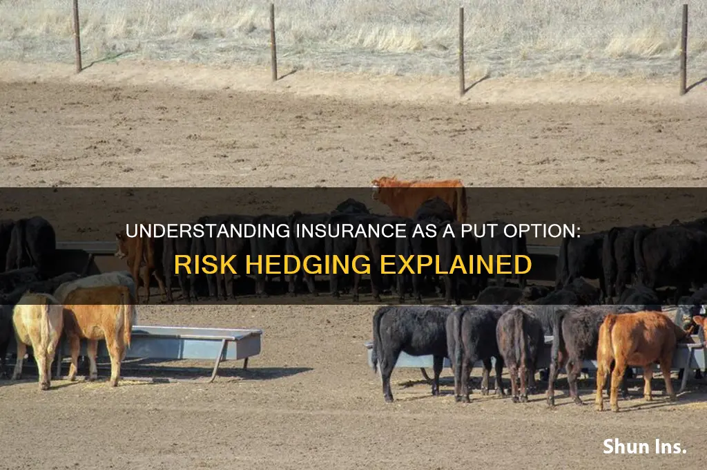how is insurance a put option