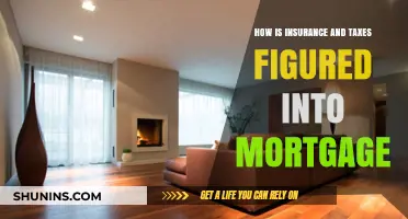 Understanding Mortgage: Insurance, Taxes, and More