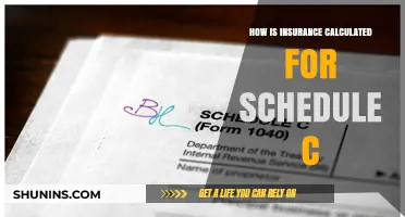 Understanding Schedule C Insurance Calculations for Small Business Owners