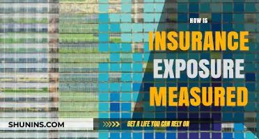 Understanding Insurance Exposure: Key Metrics and Measurement Methods Explained