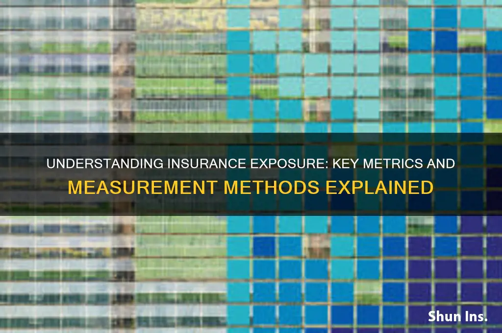 how is insurance exposure measured