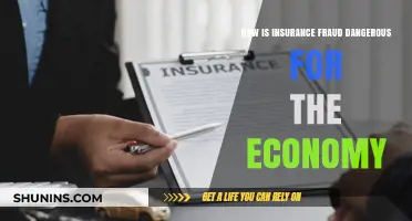 Insurance Fraud's Economic Impact: Risks, Costs, and Societal Consequences