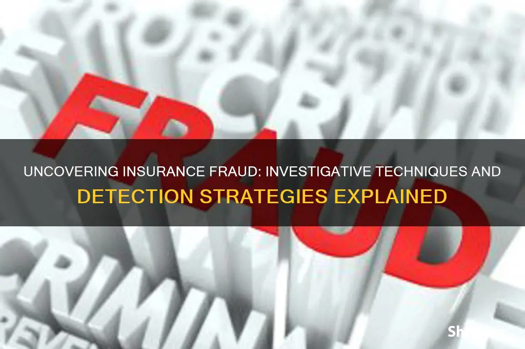 how is insurance fraud investigation