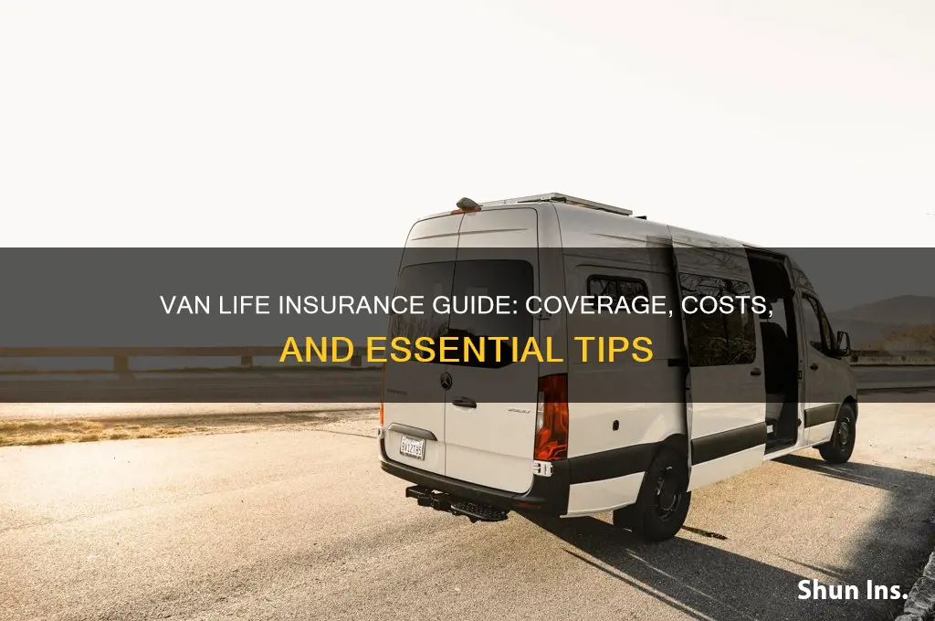 how is insurance handled for living in van