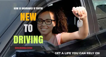 New Driver's Guide: Understanding Auto Insurance Basics and Benefits