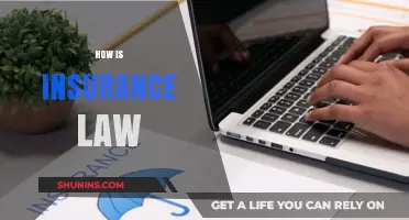 Understanding Insurance Law: Key Principles and Practical Implications Explained