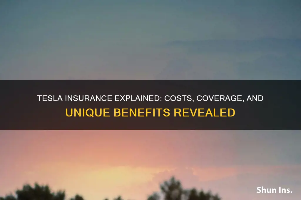 how is insurance on a tesla
