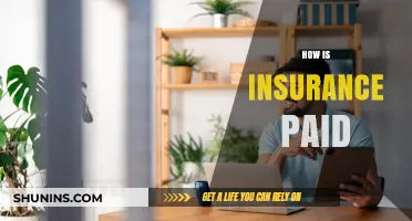 Understanding Insurance Payments: How Premiums, Claims, and Payouts Work