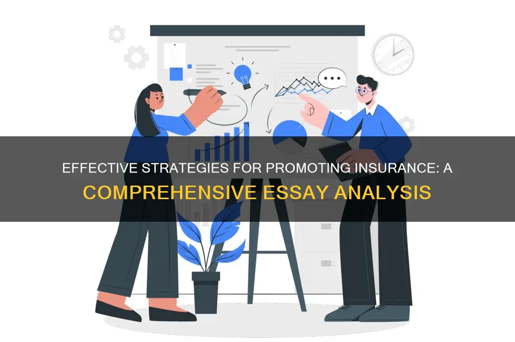how is insurance promoted essay