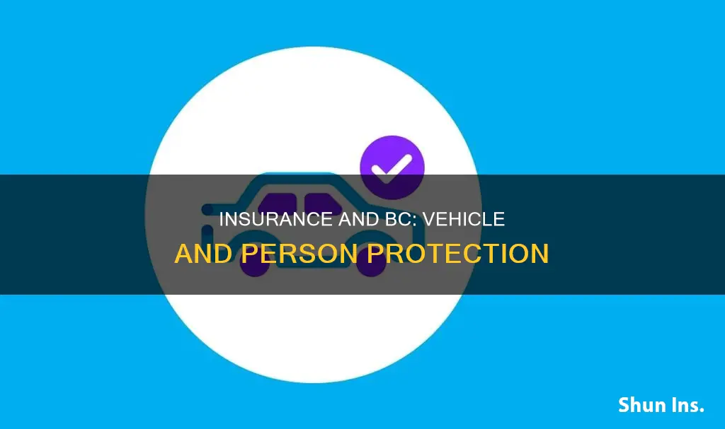 how is insurance related to vehicle or person in bc