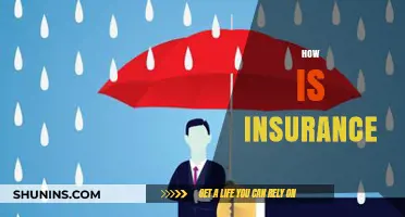 Understanding Insurance: How It Works and Why It Matters