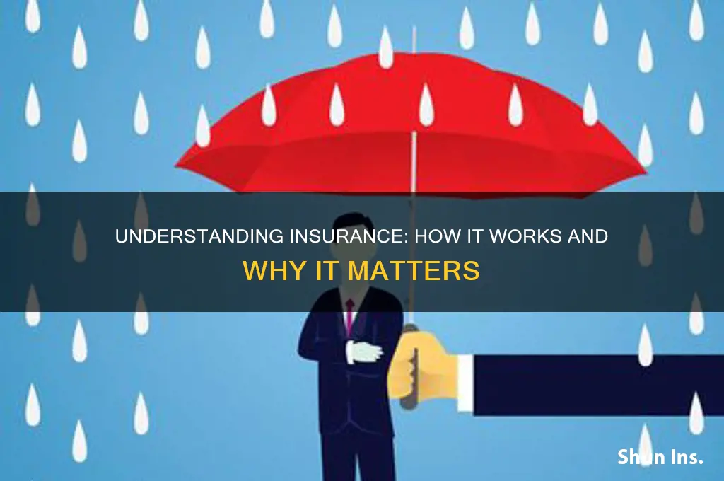 how is insurance