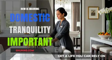 Insuring Domestic Tranquility: Why It's Essential for a Stable Society