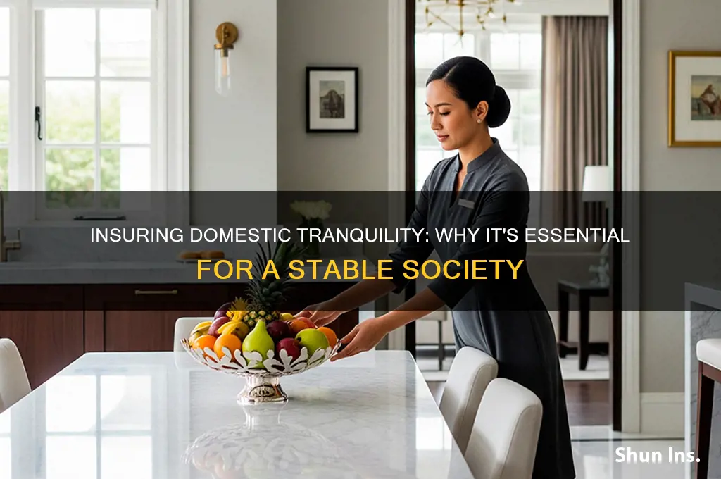 how is insuring domestic tranquility important