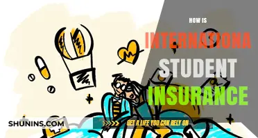 Understanding International Student Insurance: Coverage, Benefits, and Essential Tips
