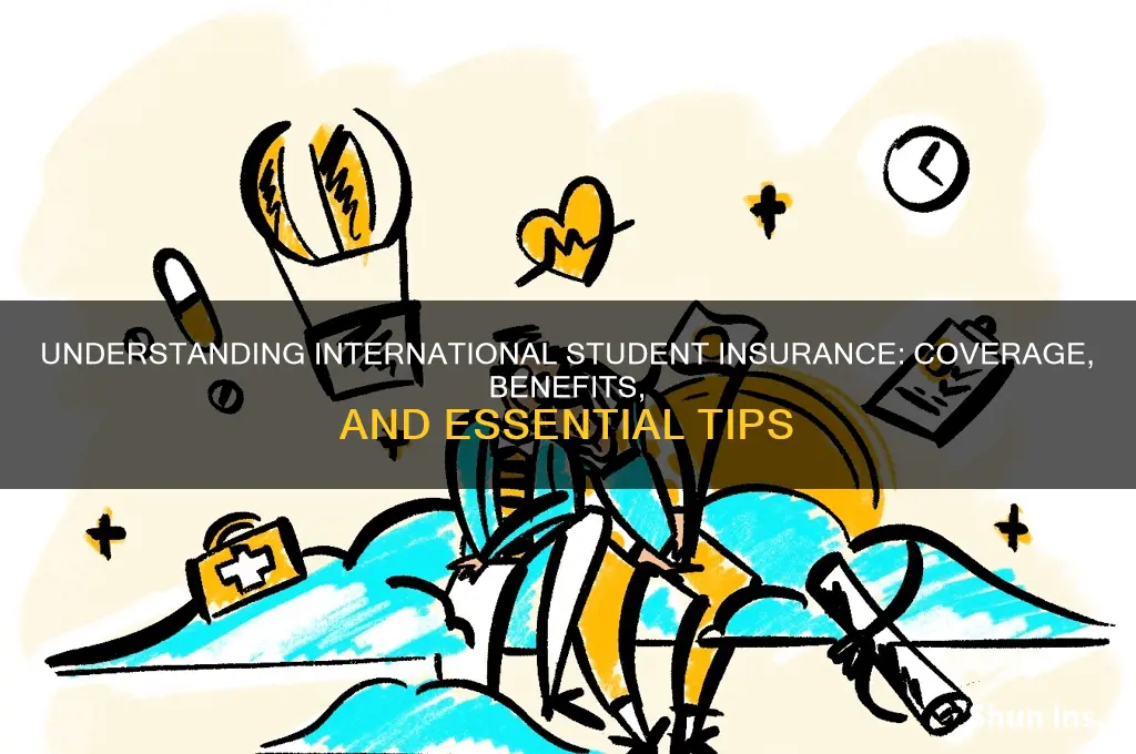 how is international student insurance