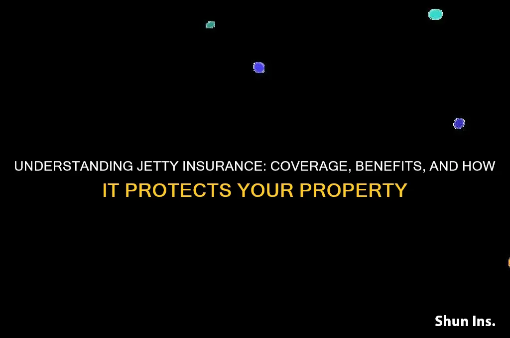 how is jetty insurance