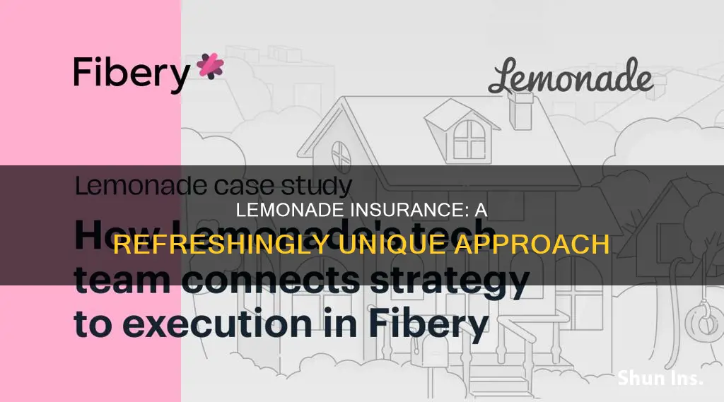 how is lemonade insurance different
