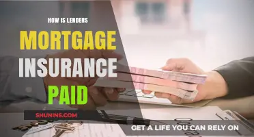 Mortgage Insurance: Who Pays and How?