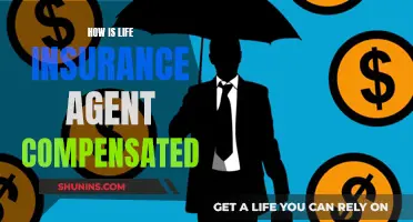 Life Insurance Agents: How Are They Paid?