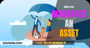 Life Insurance: Your Unsung Asset Hero