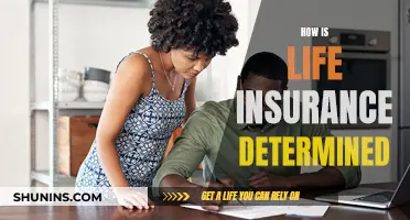 Understanding Life Insurance: Factors Determining Your Policy